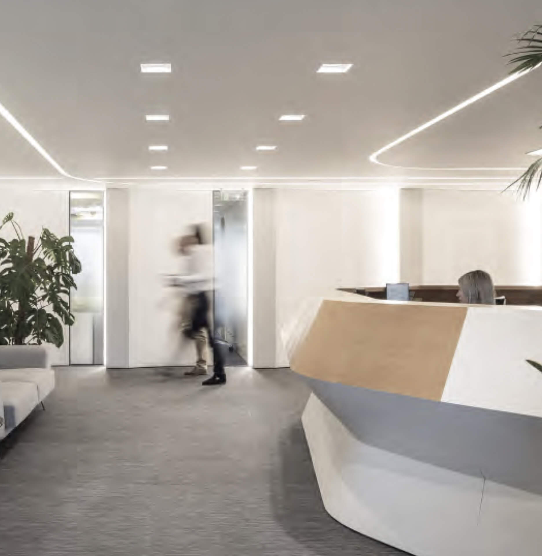 A place where expertise grows.