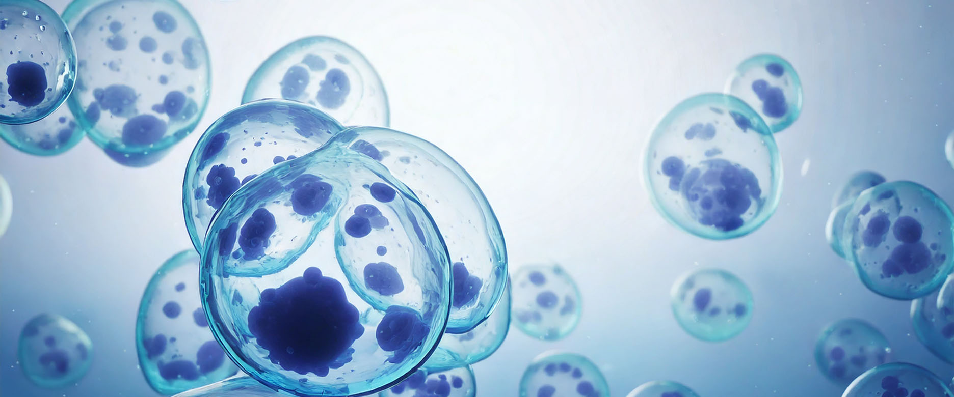 Advanced manufacturing & R&D